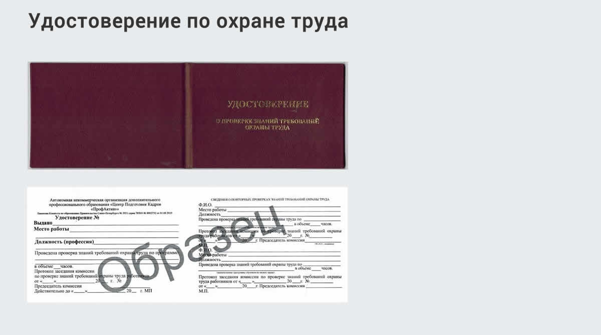  Дистанционное повышение квалификации по охране труда и оценке условий труда СОУТ в Петровске