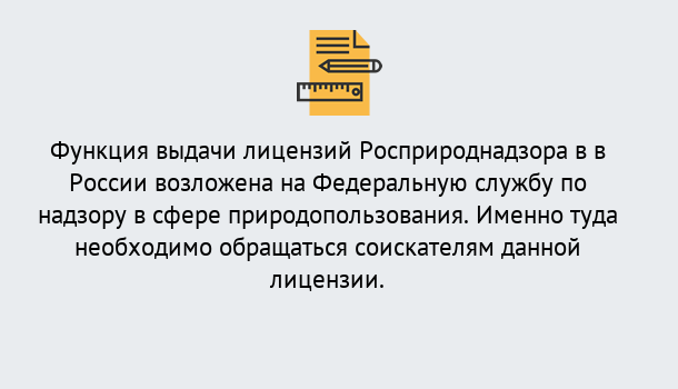 Почему нужно обратиться к нам? Петровск Лицензия Росприроднадзора. Под ключ! в Петровск