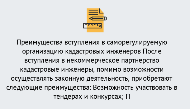 Почему нужно обратиться к нам? Петровск Что дает допуск СРО кадастровых инженеров?