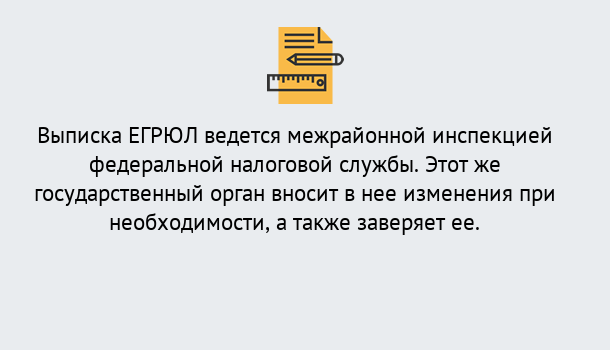 Почему нужно обратиться к нам? Петровск Выписка ЕГРЮЛ в Петровск ?