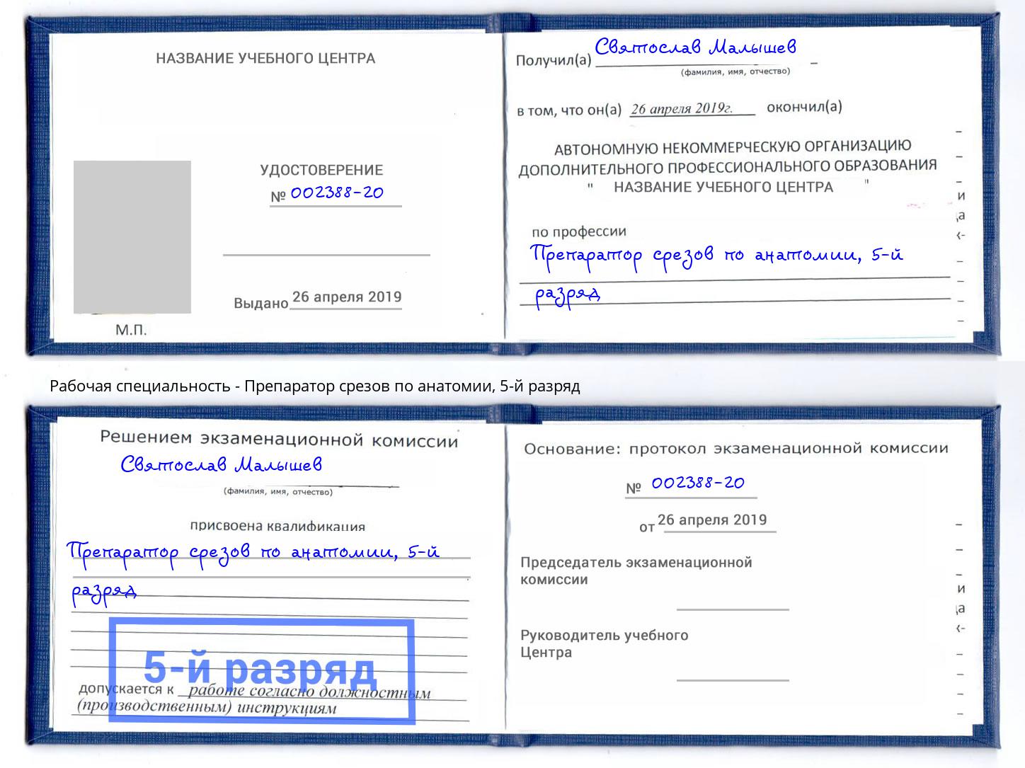 корочка 5-й разряд Препаратор срезов по анатомии Петровск