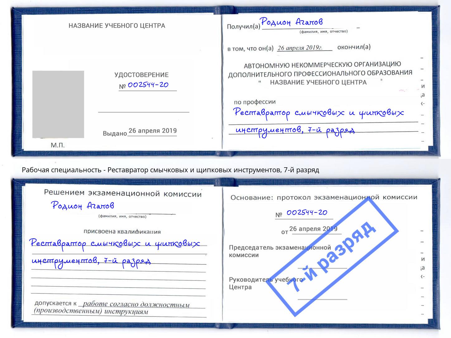 корочка 7-й разряд Реставратор смычковых и щипковых инструментов Петровск